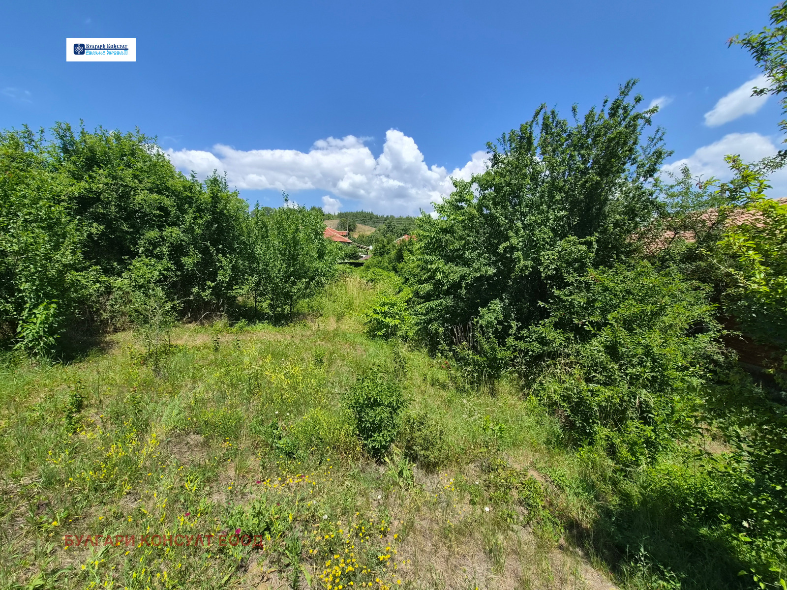 Продава КЪЩА, с. Коркина, област Кюстендил, снимка 6 - Къщи - 55033767