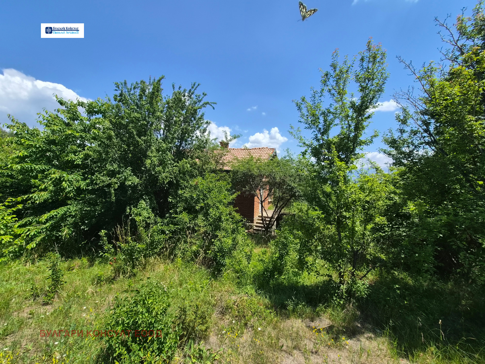 Продава КЪЩА, с. Коркина, област Кюстендил, снимка 8 - Къщи - 55033767