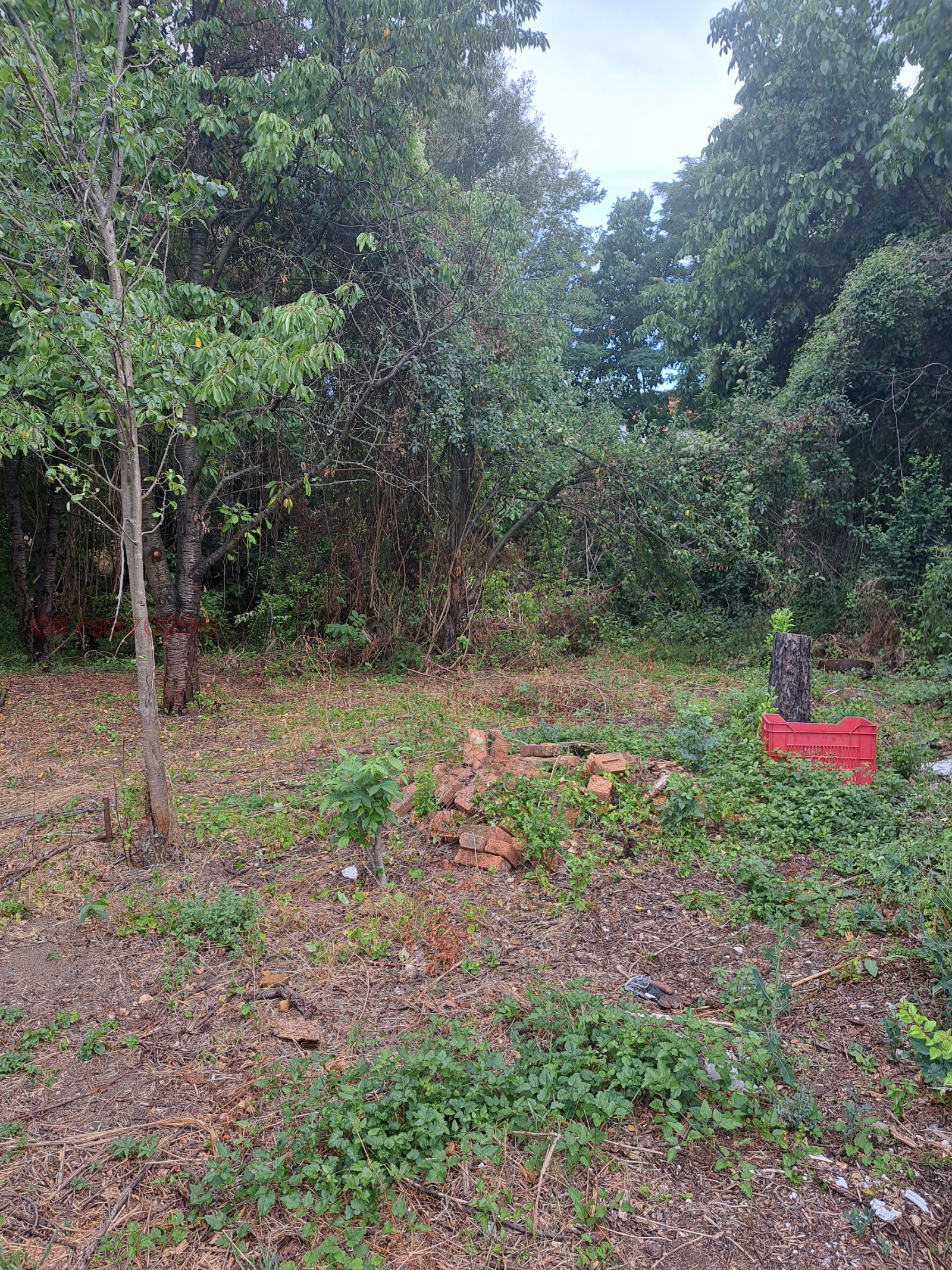 Продава ПАРЦЕЛ, с. Смолско, област София област, снимка 3 - Парцели - 53937622