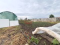 Продава КЪЩА, с. Поройна, област Пловдив, снимка 13