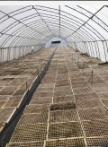 Продава КЪЩА, област Добрич, с. Сенокос • 420000 € • 52330509 — Holmes.bg