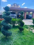 Продава КЪЩА, област Добрич, с. Сенокос • 420000 € • 52330509 — Holmes.bg