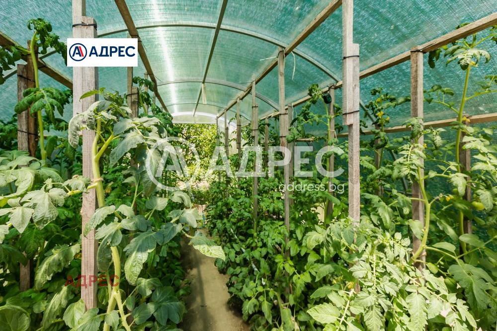 ������� ���� | Imot.bg � ����������� 17