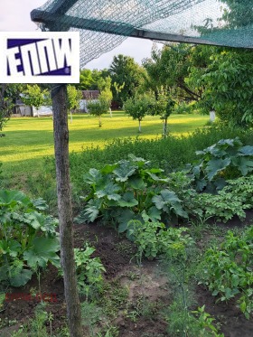 ������� ���� | Imot.bg � ����� ������ 11