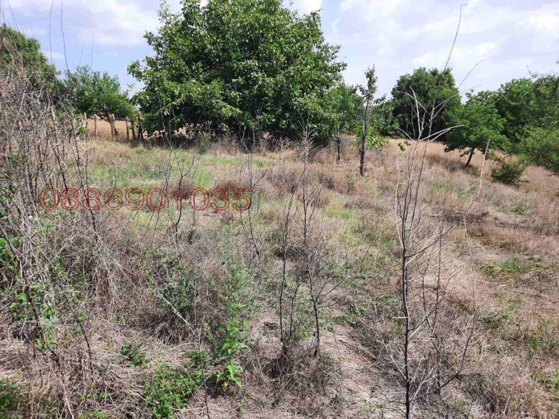 Продава КЪЩА, с. Дюлево, област Пазарджик, снимка 7 - Къщи - 52939207