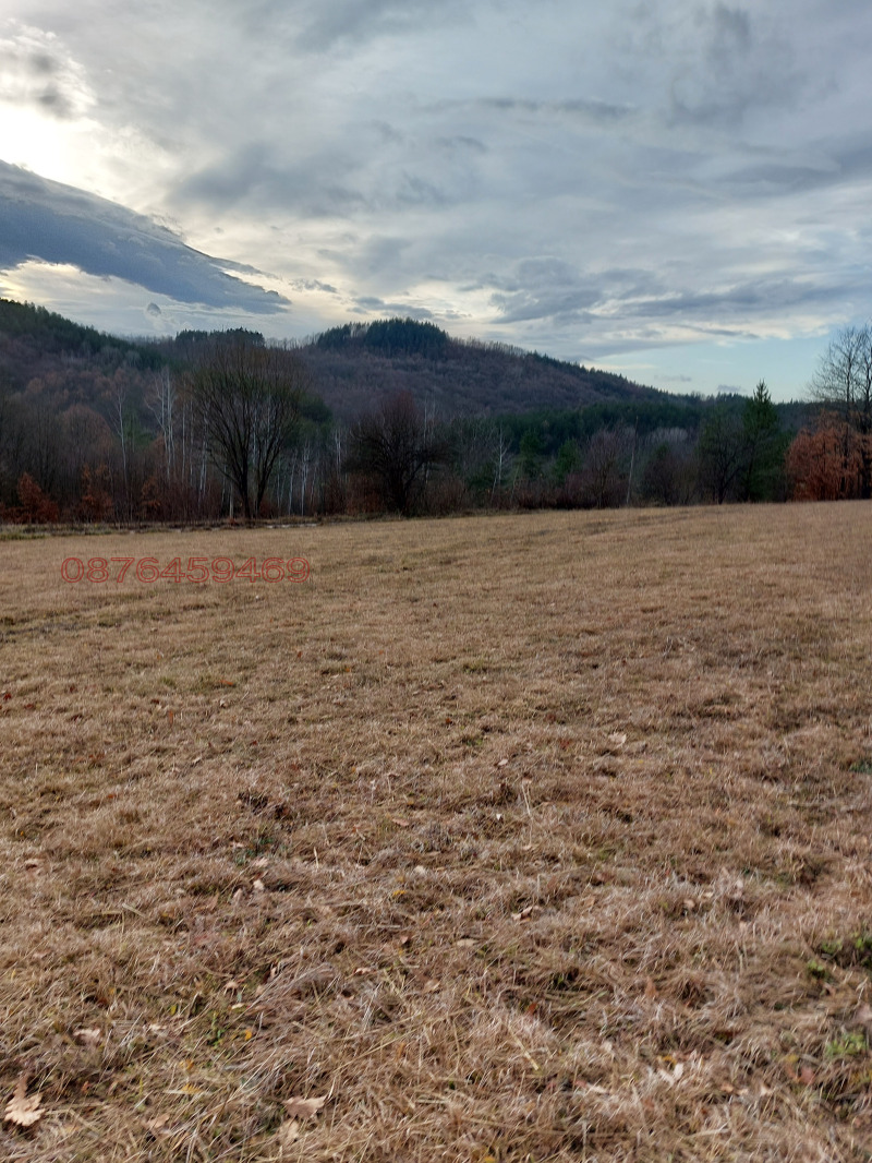 Продава ПАРЦЕЛ, с. Драшкова поляна, област Ловеч, снимка 2 - Парцели - 52785773