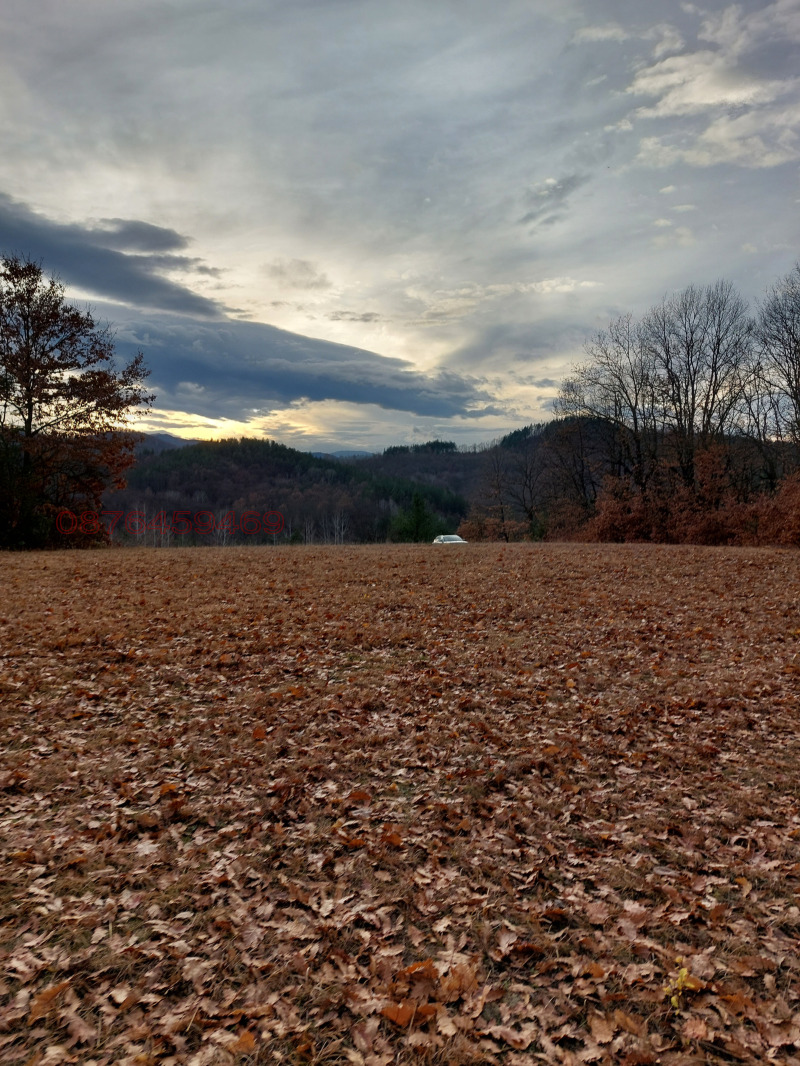 Продава ПАРЦЕЛ, с. Драшкова поляна, област Ловеч, снимка 3 - Парцели - 52785773