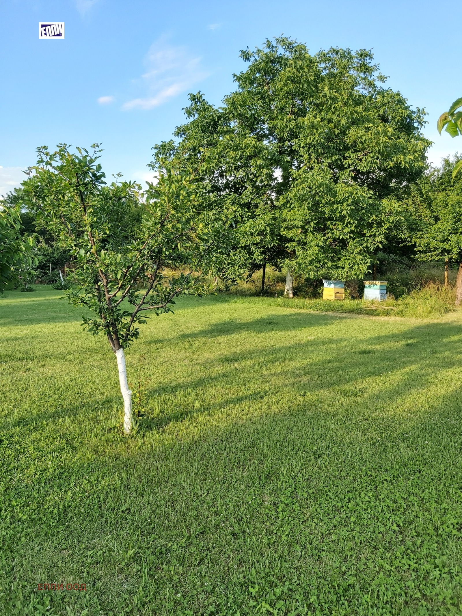 Продава КЪЩА, с. Враняк, област Враца, снимка 11 - Къщи - 54691176