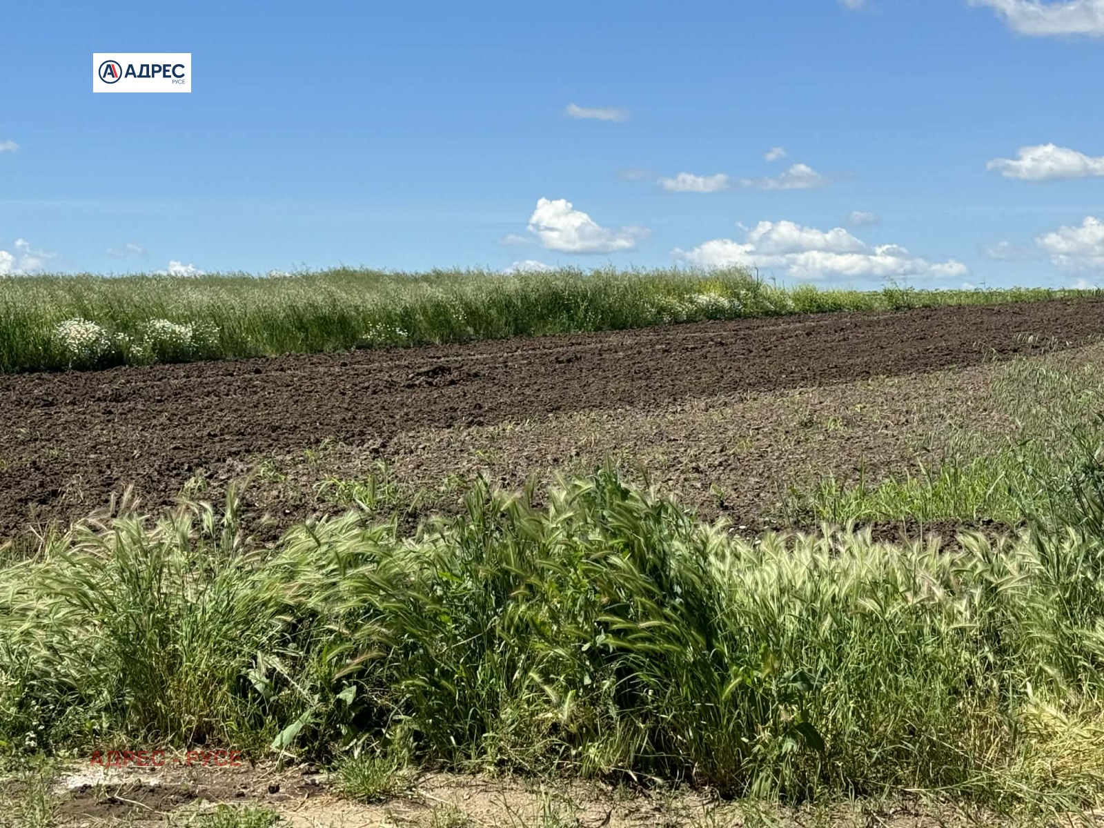 Продава ПАРЦЕЛ, гр. Русе, в.з. Касева Чешма, снимка 3 - Парцели - 55092834