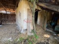 Продава КЪЩА, с. Татарево, област Пловдив, снимка 9