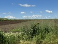 Продава ПАРЦЕЛ, гр. Русе, в.з. Касева Чешма, снимка 1