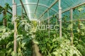 Продава  Къща град Варна , Бриз , 118 кв.м | 47975285 - изображение [17]