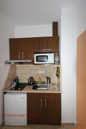 Studio Bansko, region Blagoevgrad 6