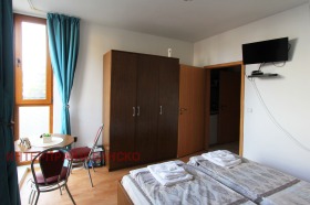 Studio Bansko, region Blagoevgrad 7