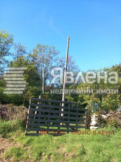 Продава ПАРЦЕЛ, с. Петров дол, област Варна, снимка 3 - Парцели - 48302003