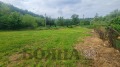 Продава КЪЩА, с. Писанец, област Русе, снимка 6