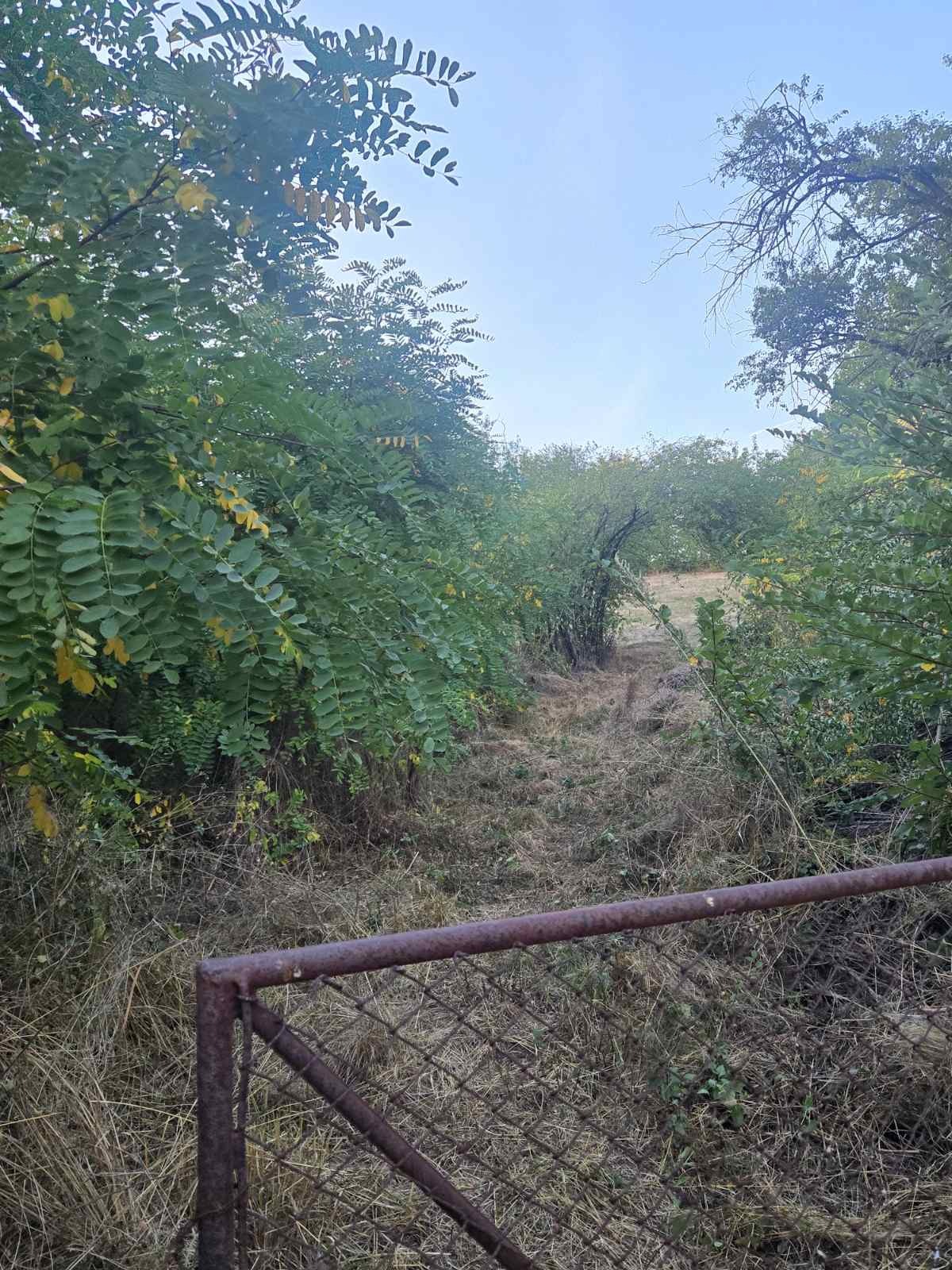 ������� ������ | Imot.bg � ����������� 4