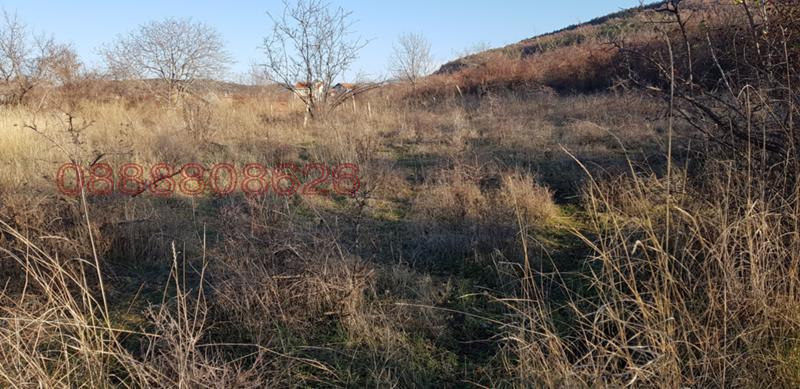 Продава ПАРЦЕЛ, с. Брестовица, област Пловдив, снимка 7 - Парцели - 53451014