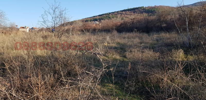 Продава ПАРЦЕЛ, с. Брестовица, област Пловдив, снимка 4 - Парцели - 53451014