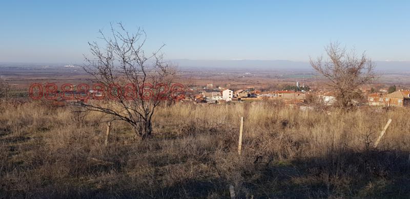 Продава ПАРЦЕЛ, с. Брестовица, област Пловдив, снимка 6 - Парцели - 53451014