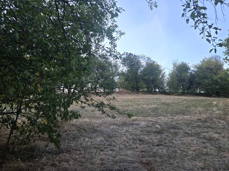 Продава ПАРЦЕЛ, с. Дивотино, област Перник, снимка 2 - Парцели - 53015450