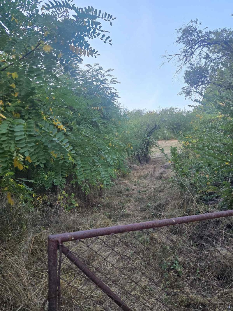 Продава ПАРЦЕЛ, с. Дивотино, област Перник, снимка 3 - Парцели - 52273703