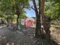 Продава КЪЩА, област Силистра, гр. Алфатар • 7925 € • 36126274 — Holmes.bg