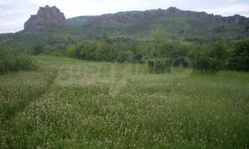 Парцел с. Боровица, област Видин 14