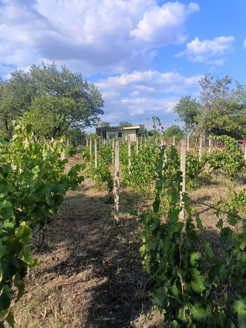 Продава  Парцел град Разград , Промишлена зона - Запад , 876 кв.м | 60133845 - изображение [3]