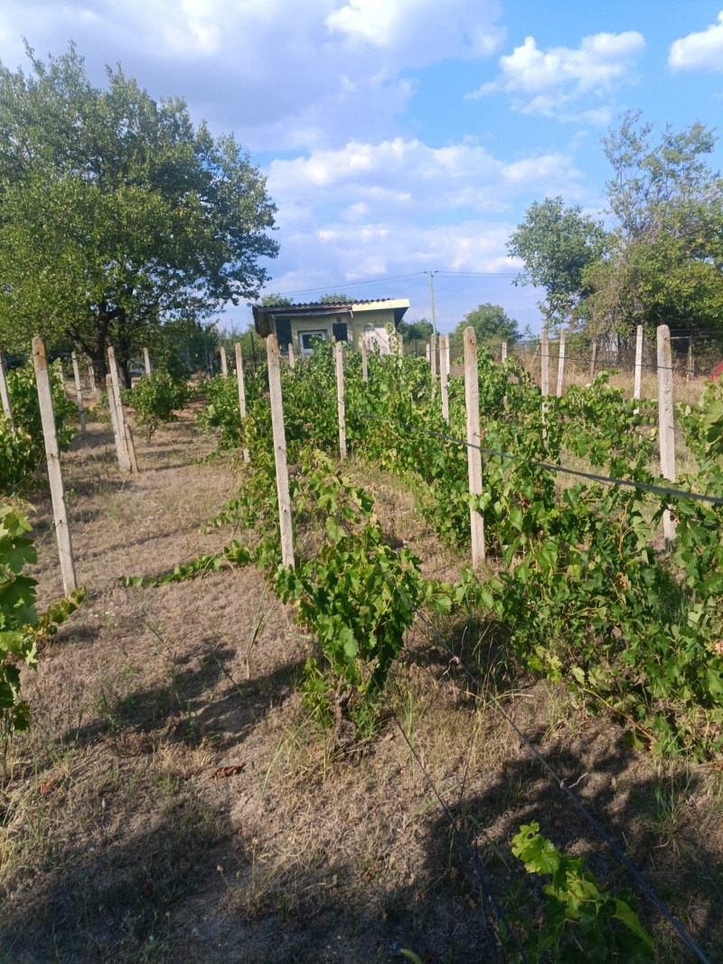 Продава  Парцел град Разград , Промишлена зона - Запад , 876 кв.м | 60133845 - изображение [7]