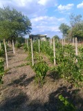 Продава ПАРЦЕЛ, град Разград, Промишлена зона - Запад • 80000 лв. • 48512461 — Holmes.bg