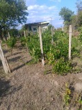 Продава ПАРЦЕЛ, град Разград, Промишлена зона - Запад • 80000 лв. • 48512461 — Holmes.bg