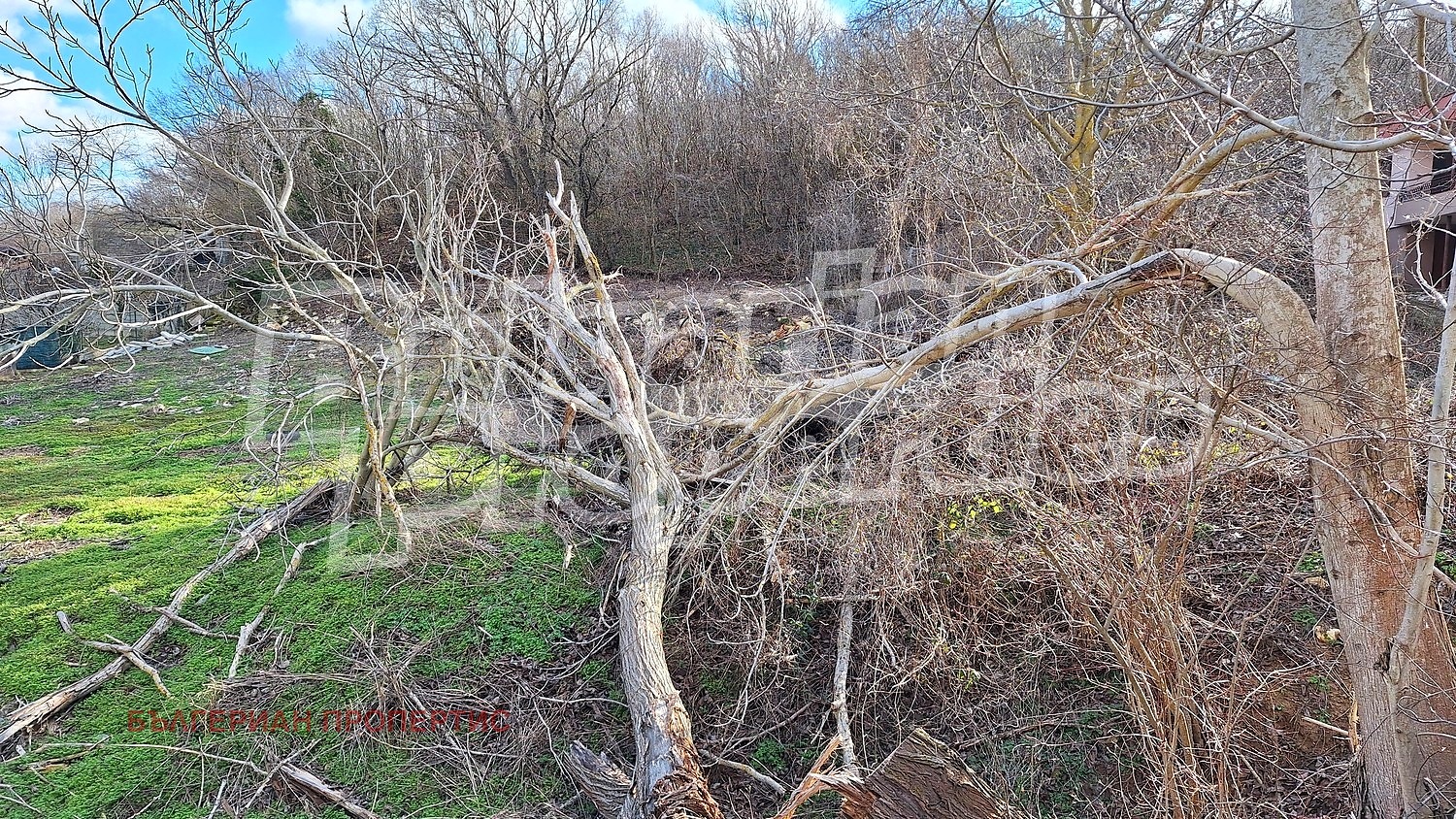 ������� ������ | Imot.bg � ����������� 8