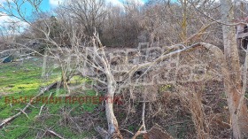 ������� ������ | Imot.bg � ����� ������ 8