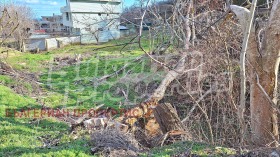 ������� ������ | Imot.bg � ����� ������ 7