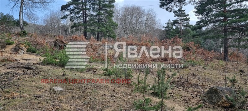 Продава ПАРЦЕЛ, гр. София, с. Владая, снимка 5 - Парцели - 53471315