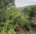 Продава ПАРЦЕЛ, гр. София, Княжево, снимка 1