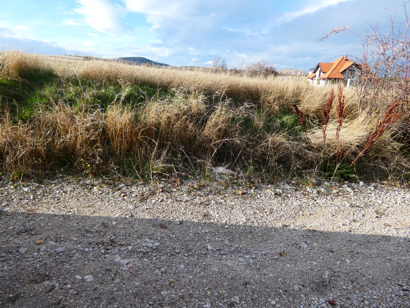 ������� ������ | Imot.bg � ����������� 2