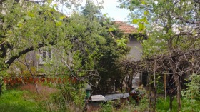 ������ ������� ����