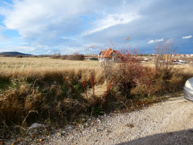 ����� ������� ������,�. ��������, ������ �����