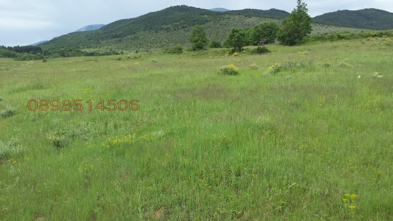 En venta  Tierra región Blagoevgrad , Gaytaninovo , 15 dka | 28220150 - imagen [3]