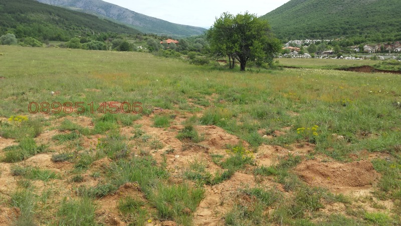 En venta  Tierra región Blagoevgrad , Gaytaninovo , 15 dka | 28220150 - imagen [7]