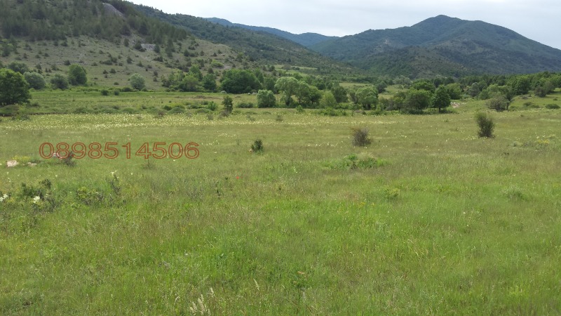 En venta  Tierra región Blagoevgrad , Gaytaninovo , 15 dka | 28220150 - imagen [6]