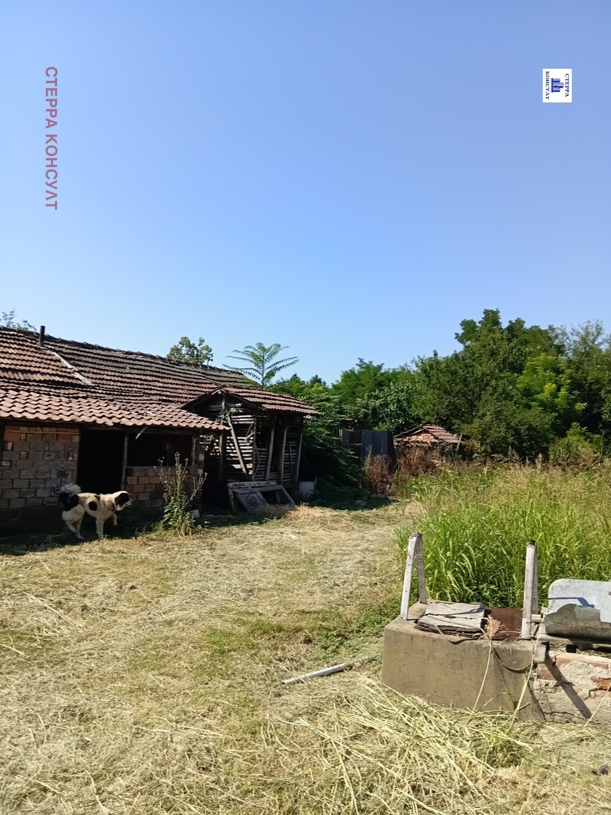 Продава КЪЩА, гр. Койнаре, област Плевен, снимка 15 - Къщи - 55249686