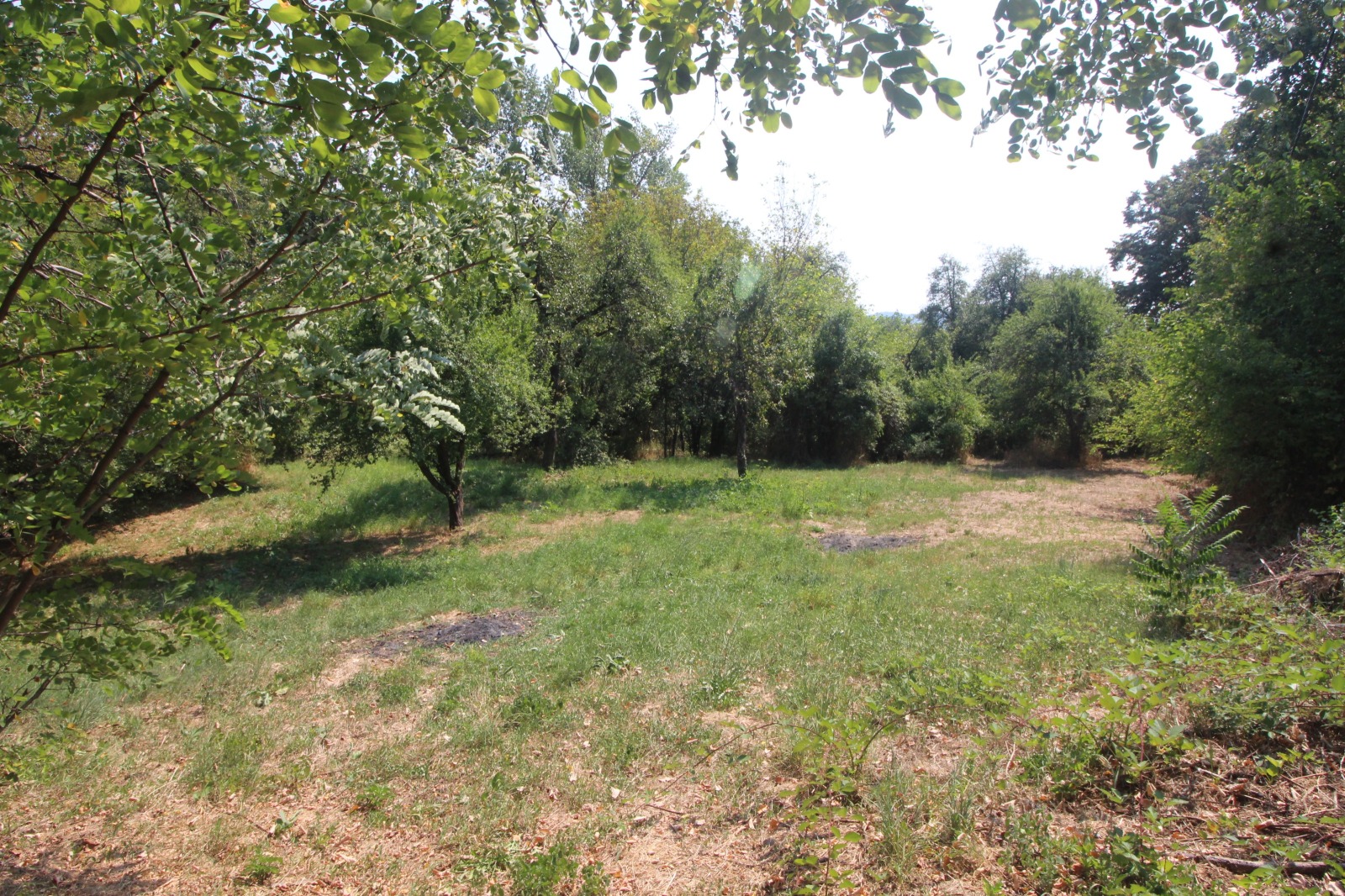Продава ПАРЦЕЛ, с. Гледаци, област Габрово, снимка 2 - Парцели - 55708445