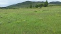Продава ЗЕМЕДЕЛСКА ЗЕМЯ, с. Гайтаниново, област Благоевград, снимка 3