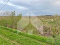 Продава ПАРЦЕЛ, област Шумен, гр. Нови пазар • 13000 лв. • 43613788 — Holmes.bg