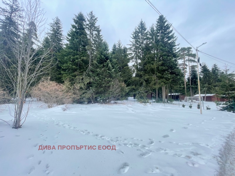 Продава ПАРЦЕЛ в област София, к.к. Боровец - 10000 кв.м / 2 000 000 € » 3 911 660.00 лв., ДИВА ПРОПЪРТИС ЕООД