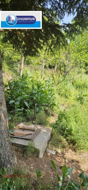 ������� ���� | Imot.bg � ����� ������ 9