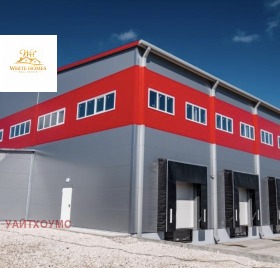 ����� ������� ������,���� �����, ����������